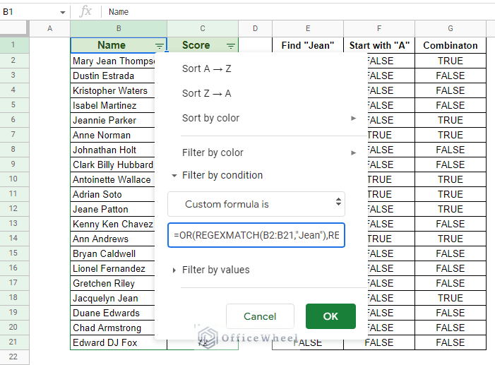 entering the custom formula in the filter