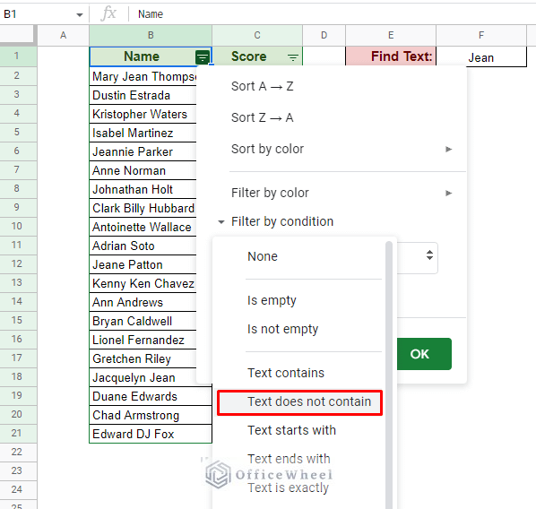 the text does not contain option in the filter by condition menu