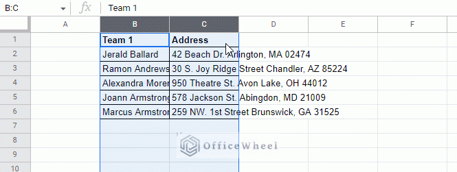 format multiple cells to fit text in google sheets by double click shortcut animated