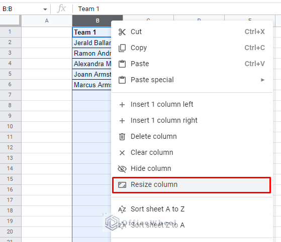 the resize column option the menu