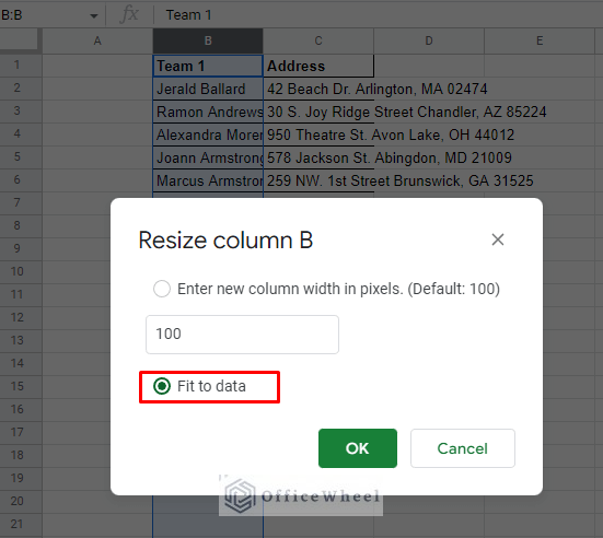selecting the fit to data radio button in the resize window