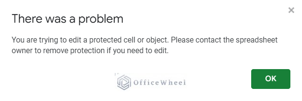 Error showing while editing protected cells