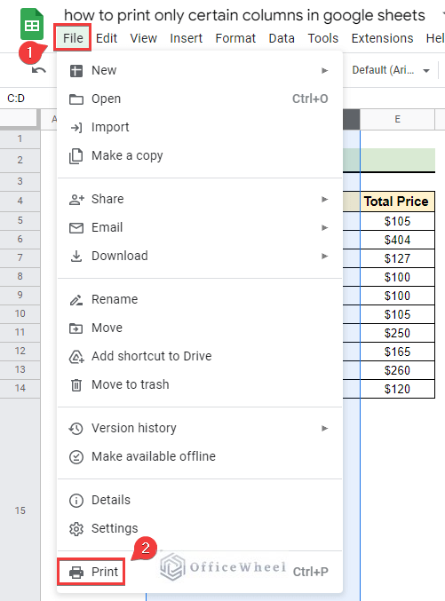 Selecting Print from file menu