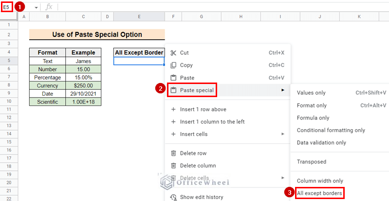 Selecting options to paste data except border